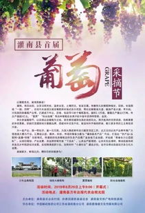 灌南县首届 葡萄文化节 暨农产品青年推广大使选拔赛即将开始